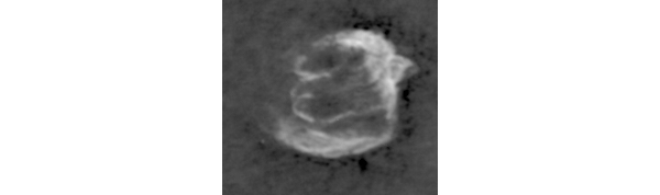 W49B radio image