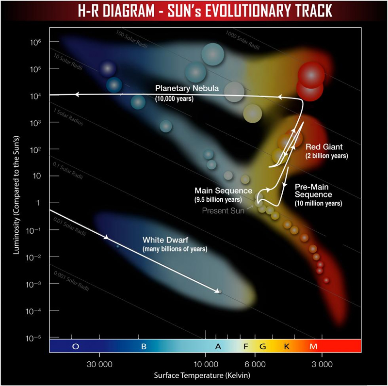 Evolutionary Track