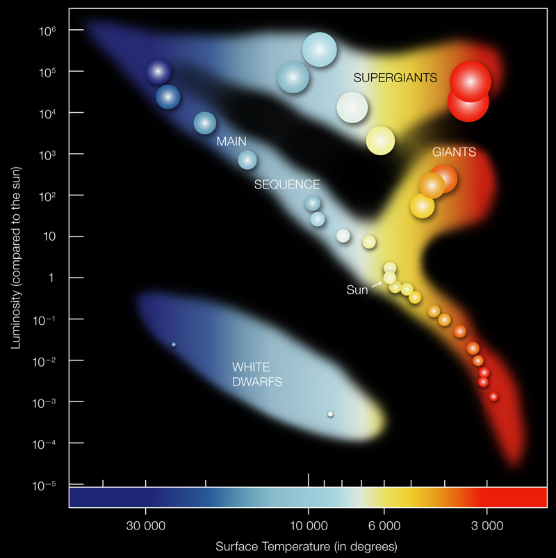 Major Branches on the H-R Diagram