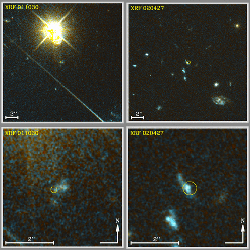 XRFs (X-ray flashes)