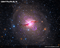 Thumbnail of M81