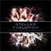 Stellar Evolution