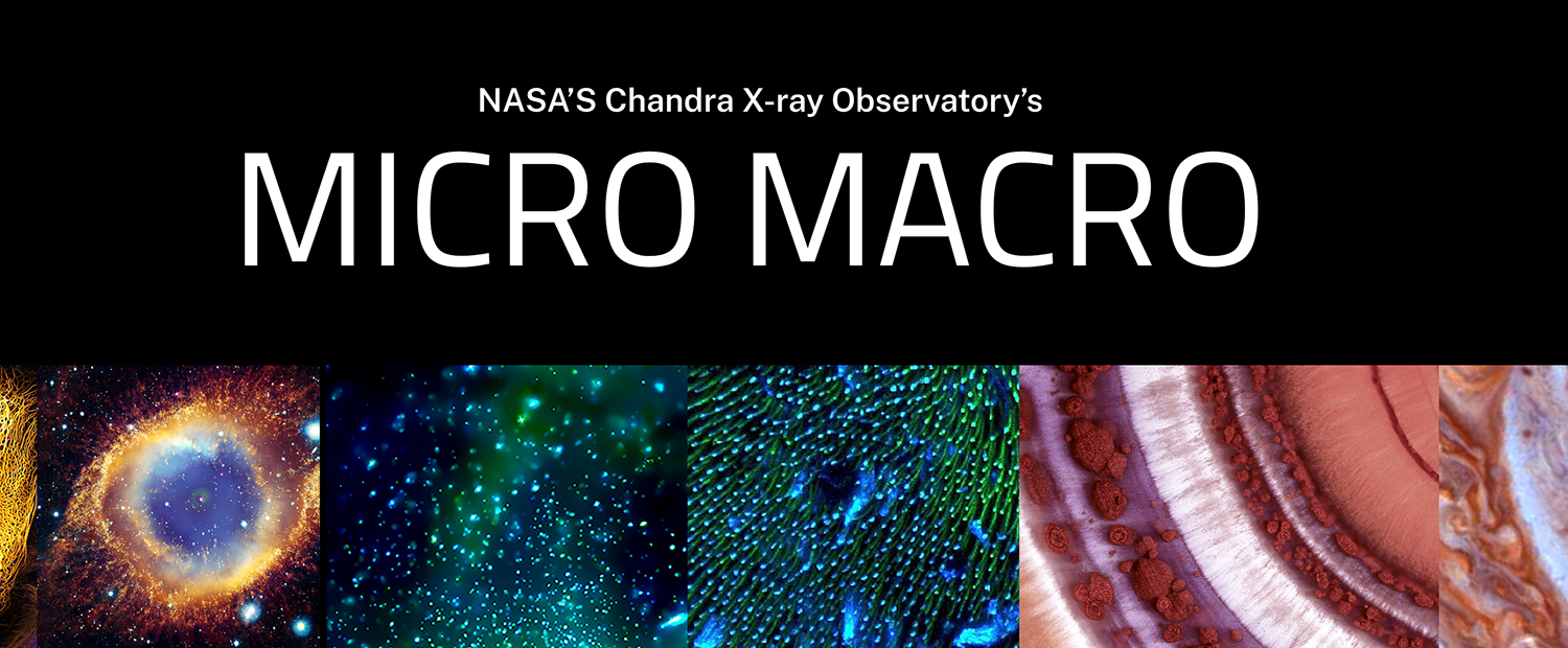 NASA's Chandra X-ray Observatory's MICRO MACRO