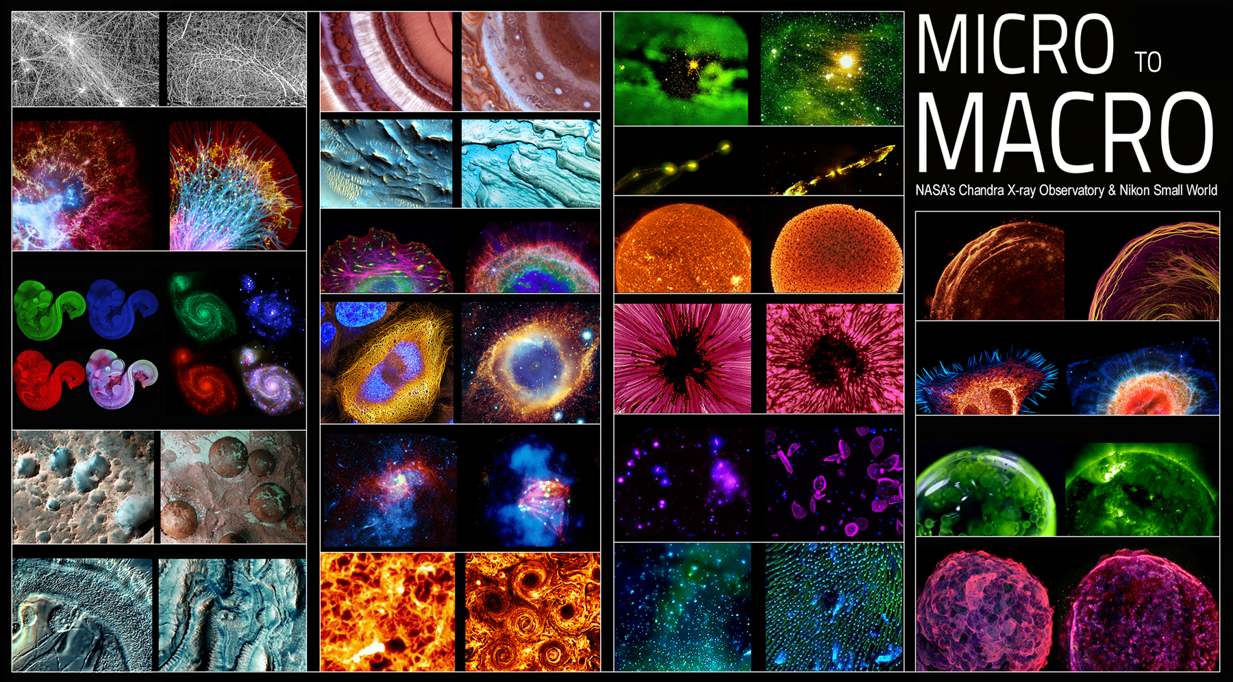 many of the macro and micro pairs in one image