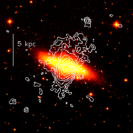 M82 - Optical and Xray combo