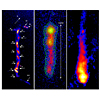 Multi-Wavelength Comparison of 3C273