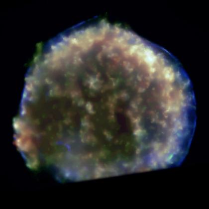 Tycho's Supernova Remnant