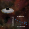 XMM-Newton Spectrum &Illustration of RX J1242-11