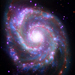 Whirlpool Galaxy