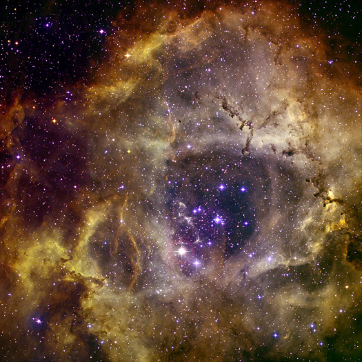 Rosette Nebula