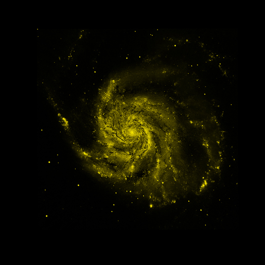 M101