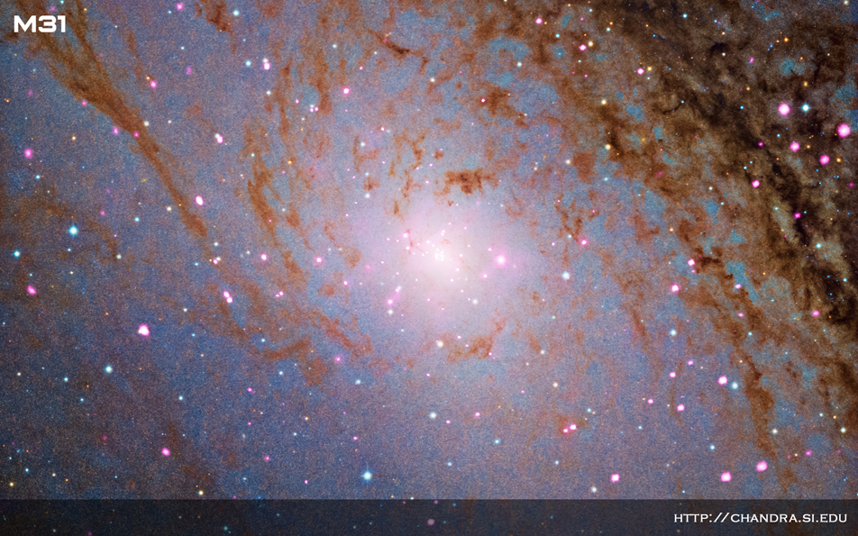 M31