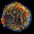 Photo of Tycho's Supernova Remnant