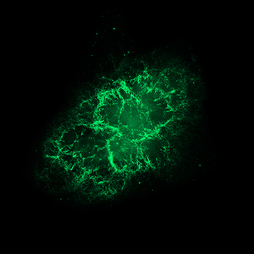 Crab Nebula