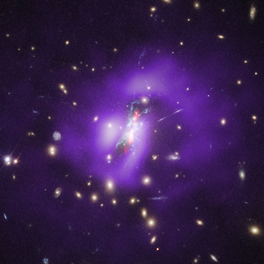 Phoenix Cluster