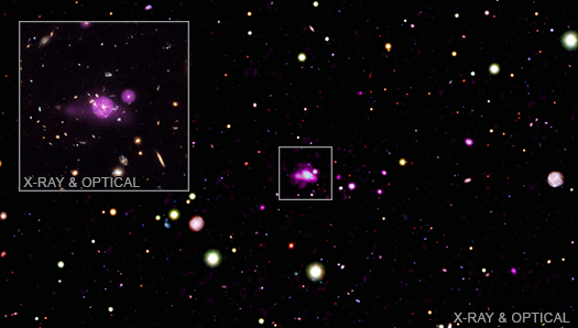 Image of the Spiderweb Galaxy Field