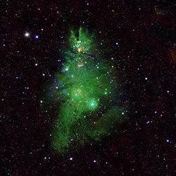 NGC 2264