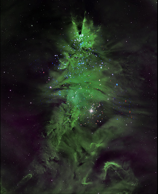 An X-ray and optical image of NGC 2264, also called the Christmas Tree Cluster