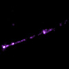 X-ray image