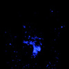 X-ray image