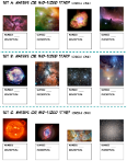 Stellar Evolution Hunt Image